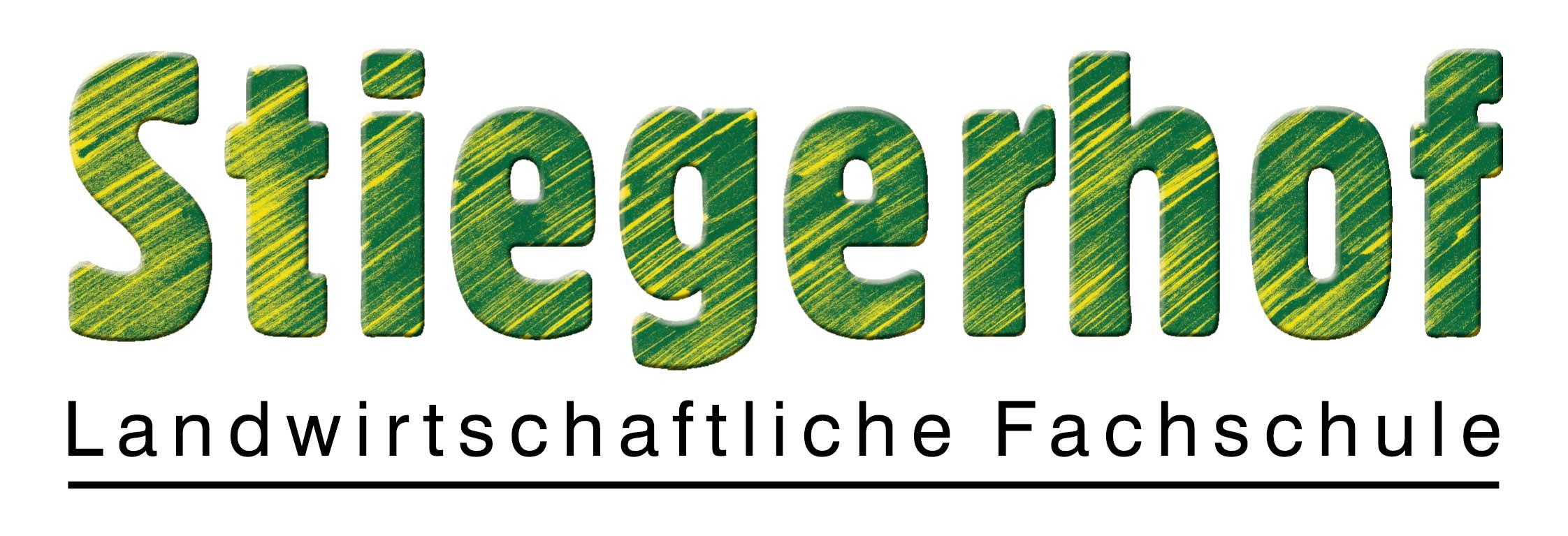 Logo LFS Stiegerhof