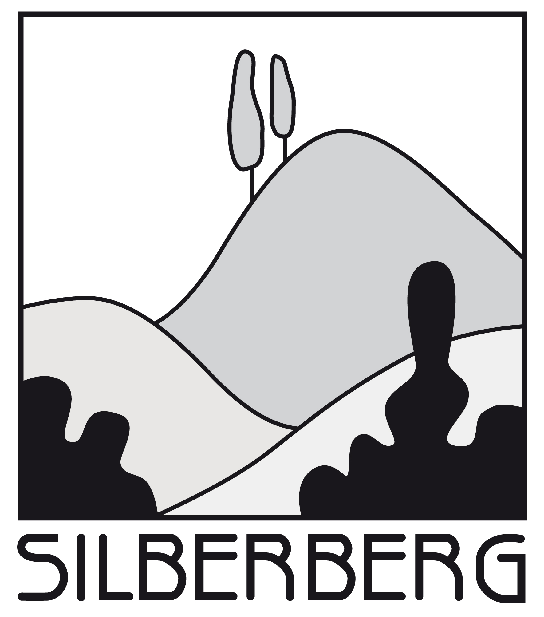 FS Silberberg Logo Logo FS Silberberg
