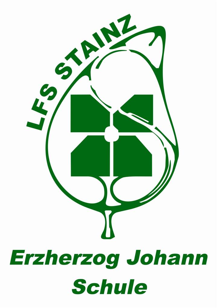 Logo LFS Stainz