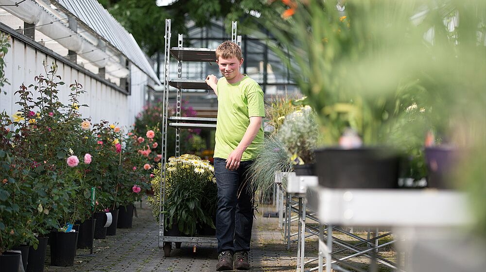 Schüler zieht Wagen mit Pflanzen