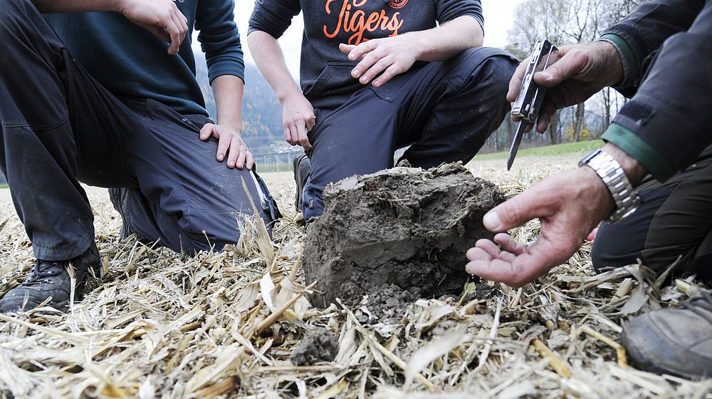 Schüler bei Ackerarbeit