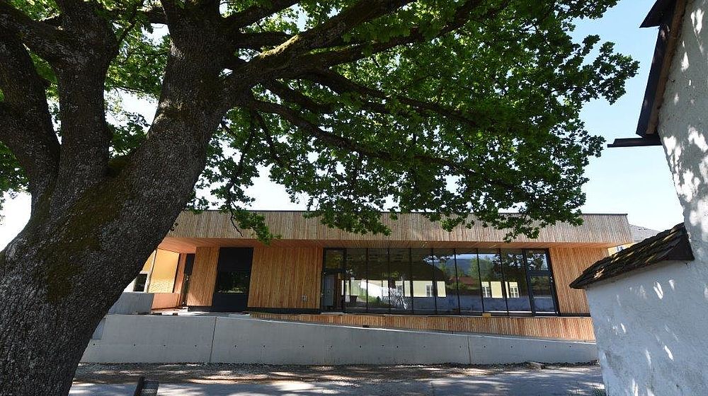 Baum mit Schulgebäude aus Holz im Hintergrund