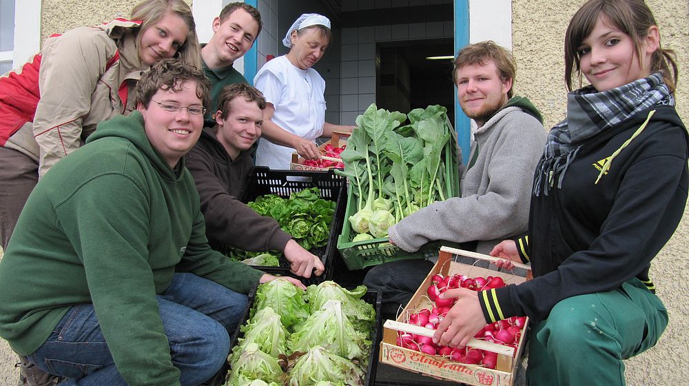 Schülerinnen und Schüler präsentieren Gemüsesorten in Kisten