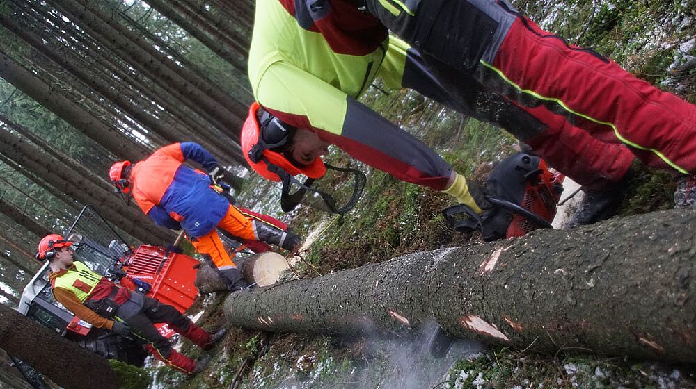 Schüler mit Motorsäge im Wald