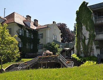 Stiegenaufgang und Schulgebäude mit begrünter Fassade