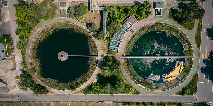  © Patrick Federi | Unsplash