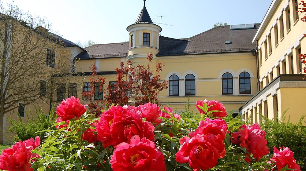 Schulgebäude mit Rosen davor