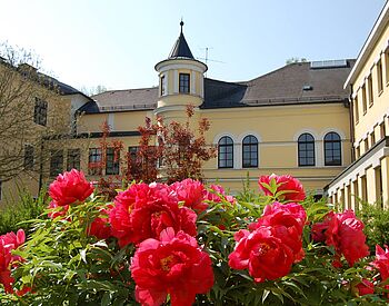 Schulgebäude mit Rosen davor