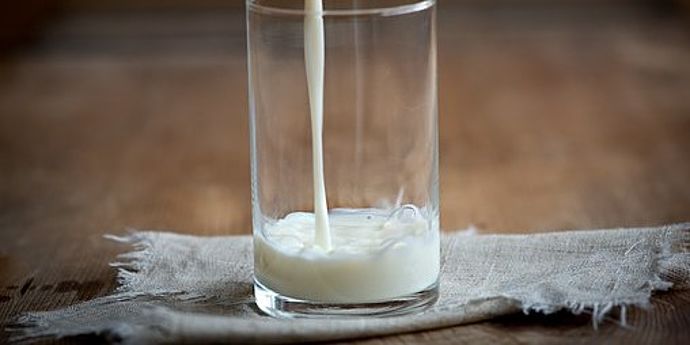 Milch wird in Glas eingeschenkt