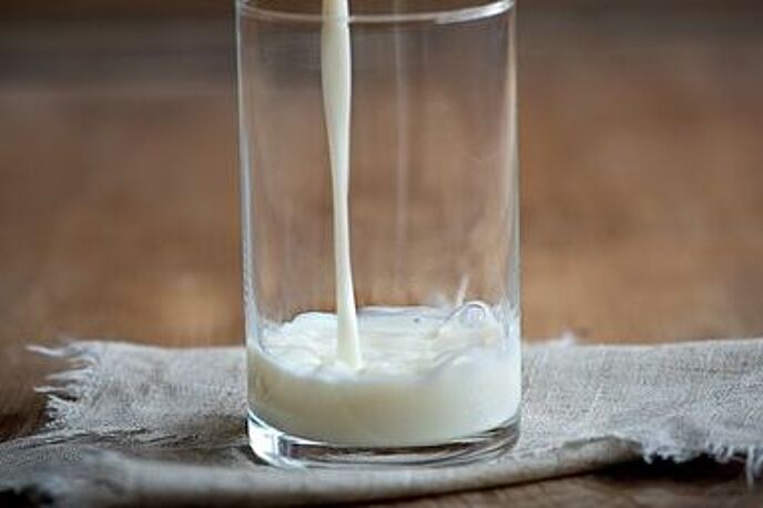 Milchherstellung 