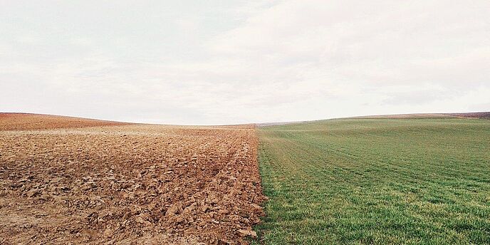  (cc) pixabay.com/Free-Photos