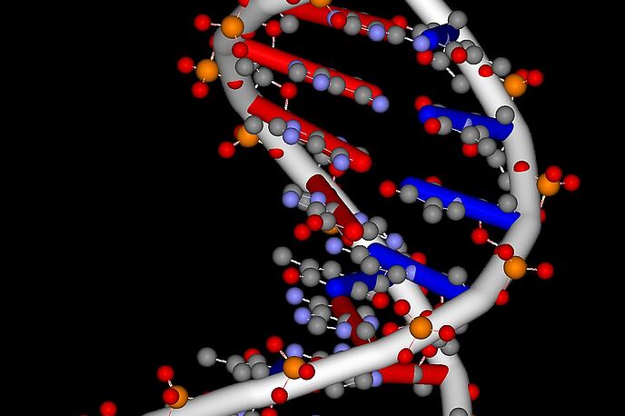 Bildausschnitt einer DNA