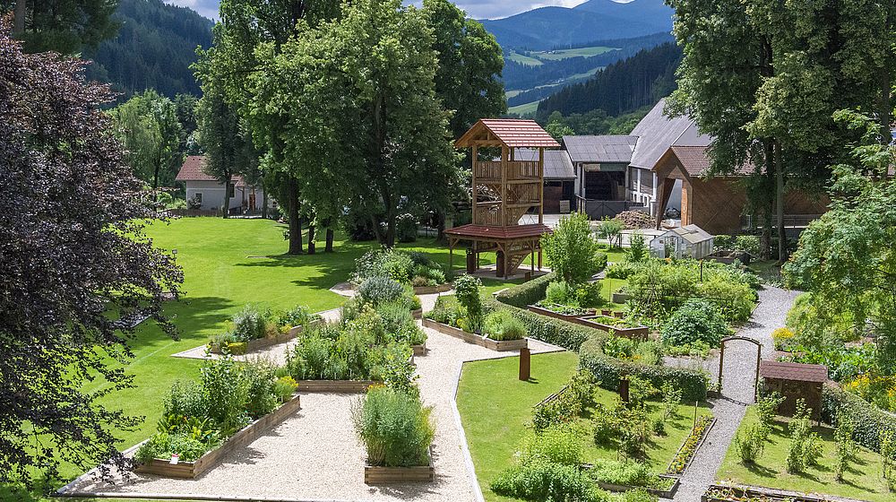 Blick auf den Schulgarten mit Grünflächen, Bäumen und Hochbeeten