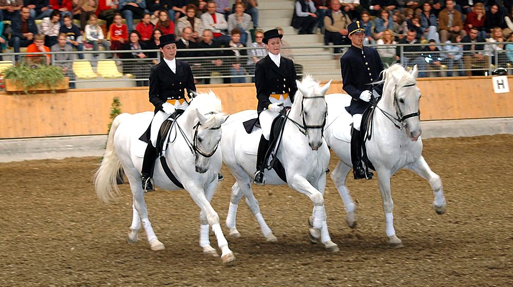 Schülerinnen und Schüler reiten auf Schimmel in Halle vor Publikum