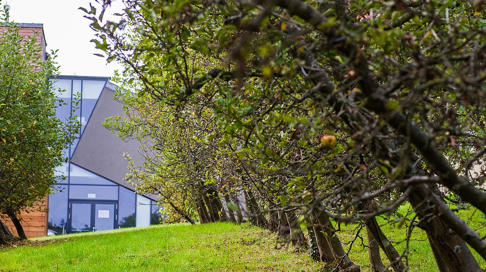 Obstbäume hinter dem Hochschulgebäude