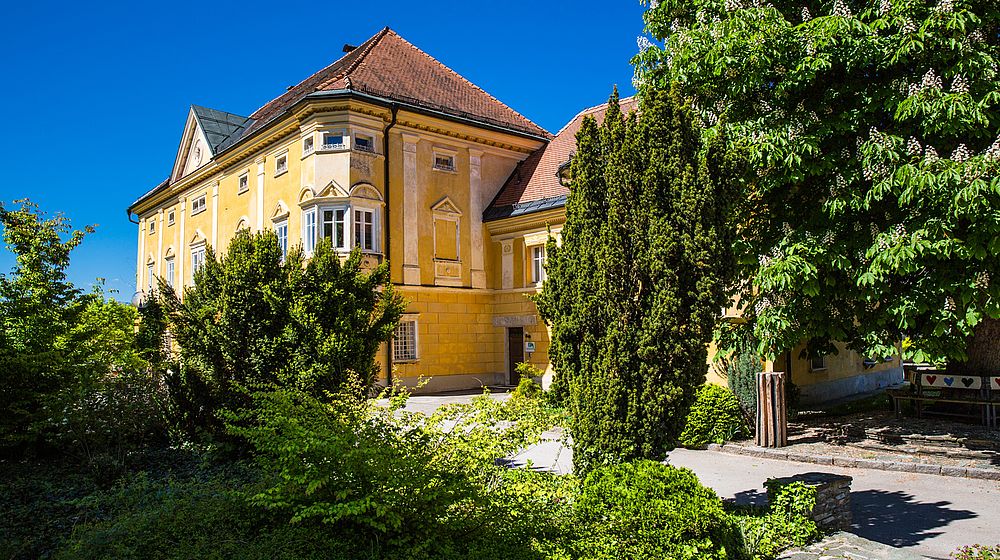 gelbes Schulgebäude mit Park im Vordergrund