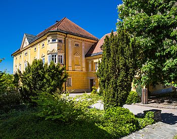 gelbes Schulgebäude mit Park im Vordergrund