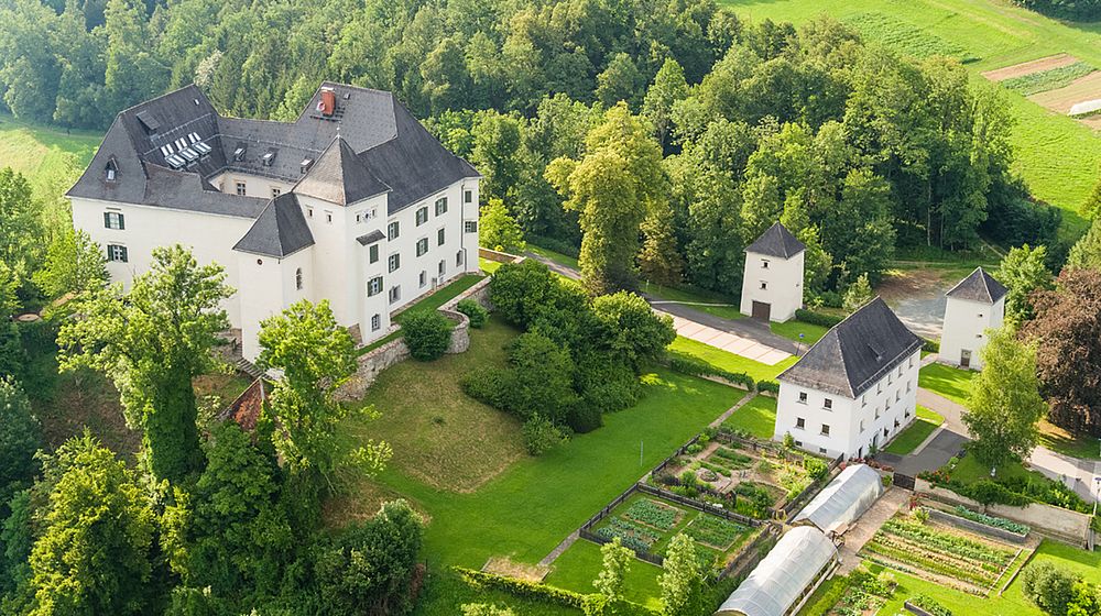 Schulgebäude mit Glashaus, Grünflächen und Waldstück von oben