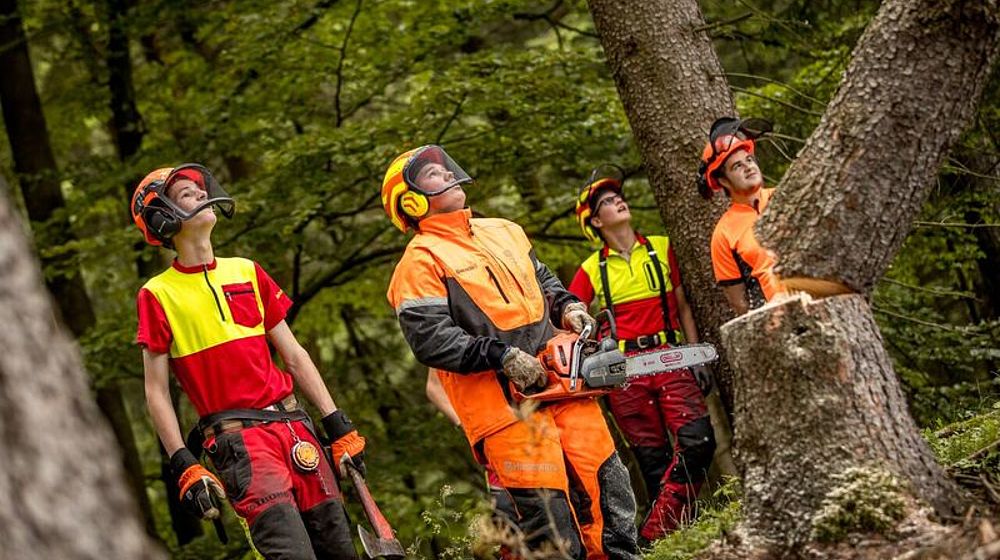 Schüler fällen einen Baum im Wald