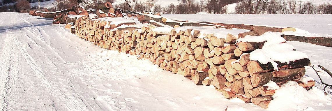 Holzstoß Titelbild 