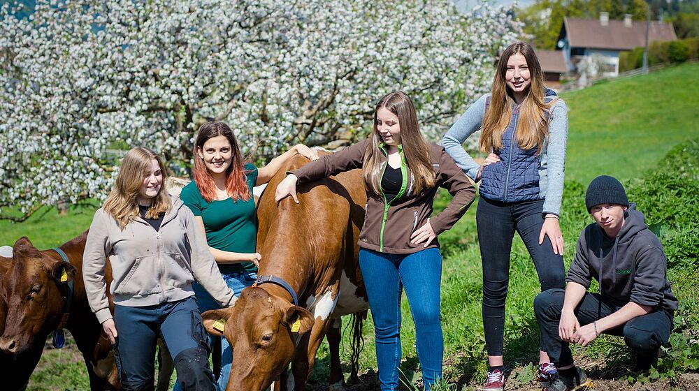 Schülerinnen und ein Schüler stehen um eine Kuh