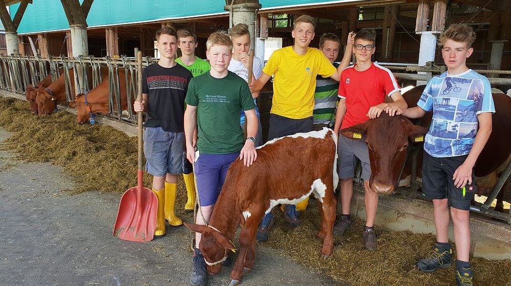 Schüler stehen im Stall