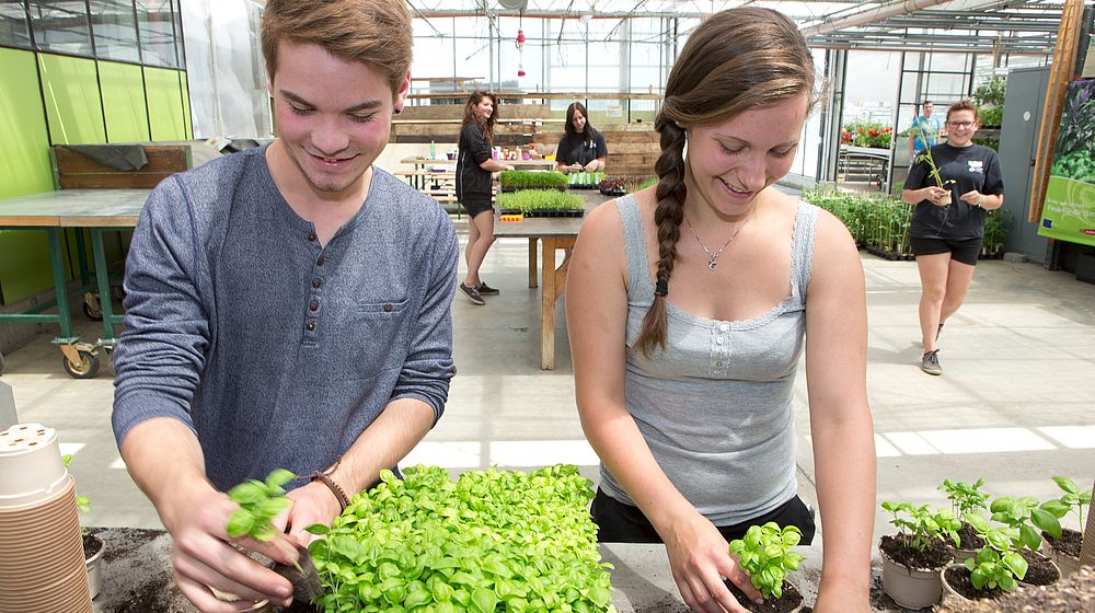 Schüler und Schülerin beim Pflanzen von Jungpflanzen