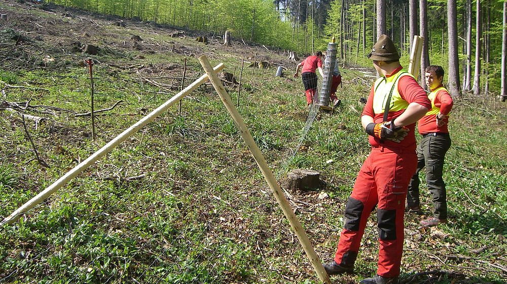 Schüler beim Errichten eines Zaunes im Wald