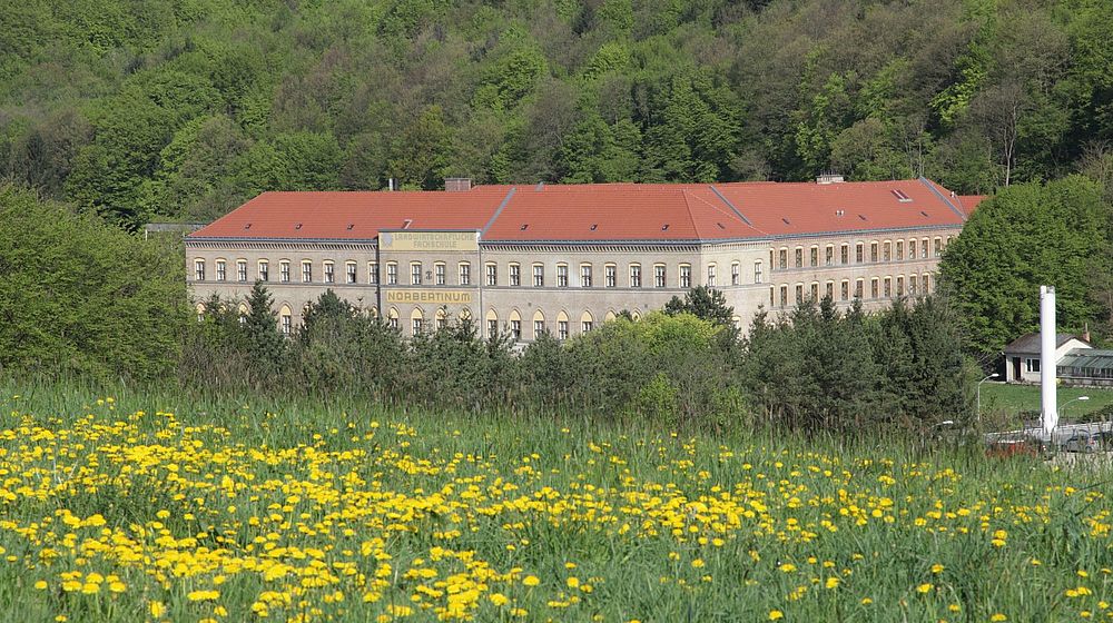 Wiese mit Schulgebäude und Wald im Hintergrund