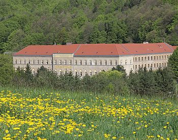 Wiese mit Schulgebäude und Wald im Hintergrund