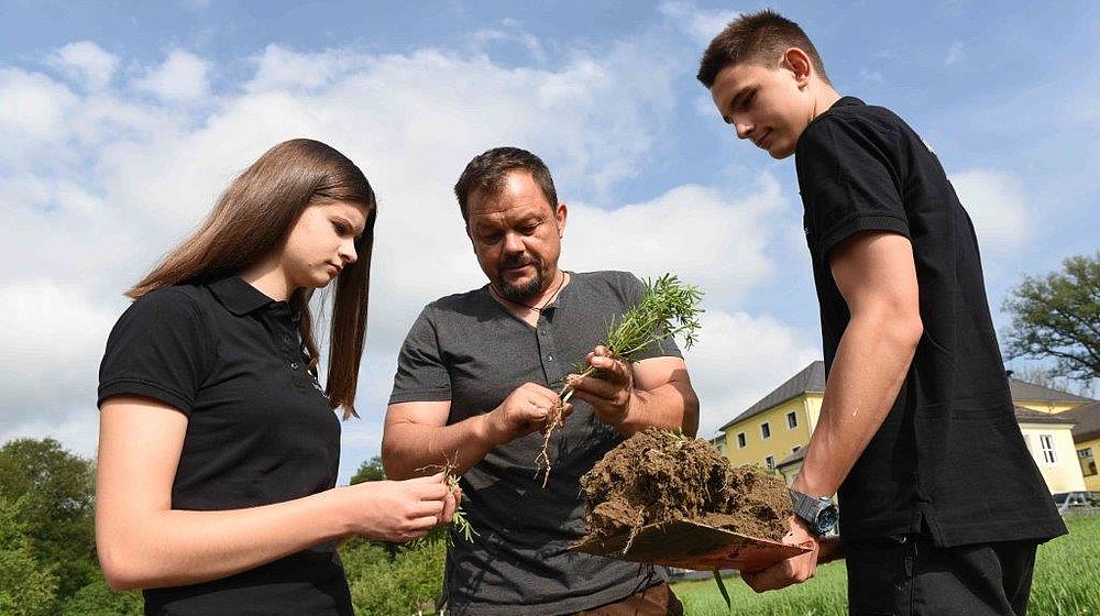 Schüler, Schülerin und Lehrer betrachten die Wurzeln einer Pflanze