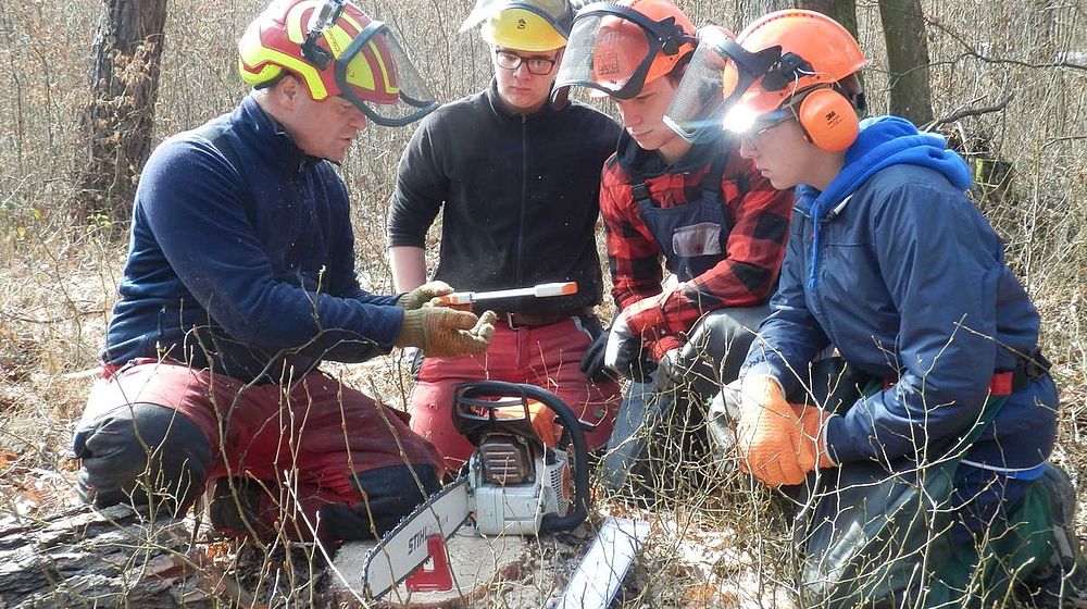 Schüler arbeiten im Wald mit Motorsägen