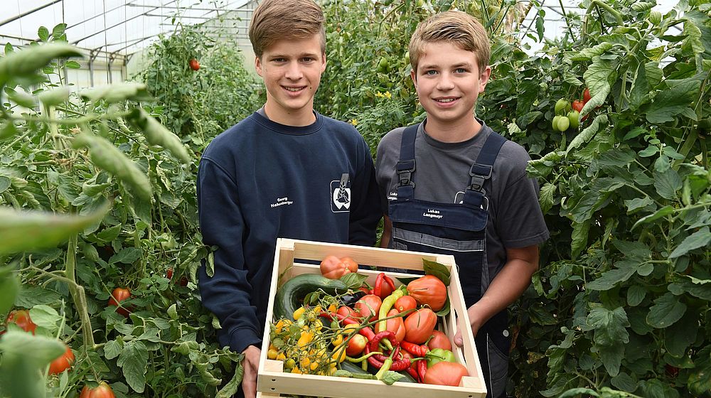 Schüler präsentieren geerntetes Obst in einer Holzkiste