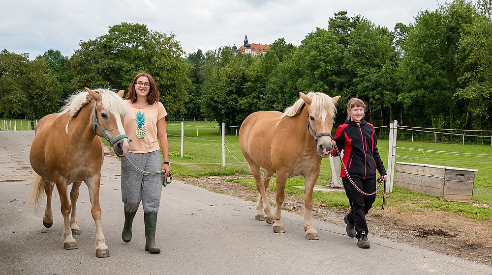 Zwei Schülerinnen longieren Pferde