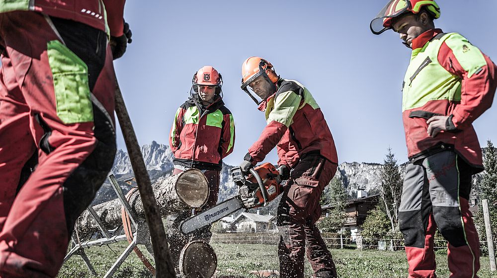 Schüler beim Baum zersägen 