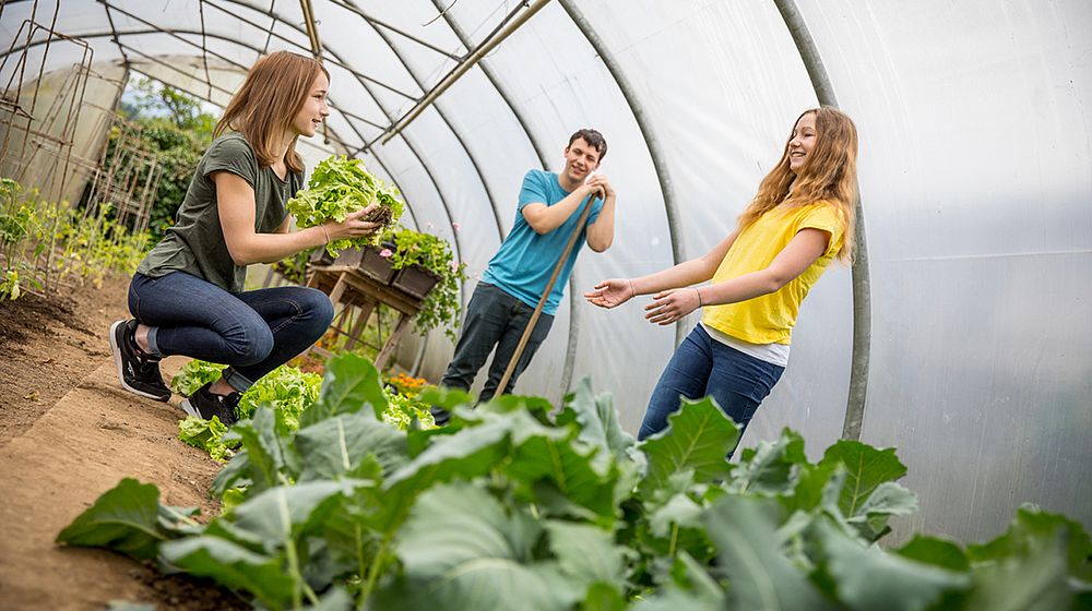 Schülerinnen und Schüler im Glashaus bei Gartenarbeiten