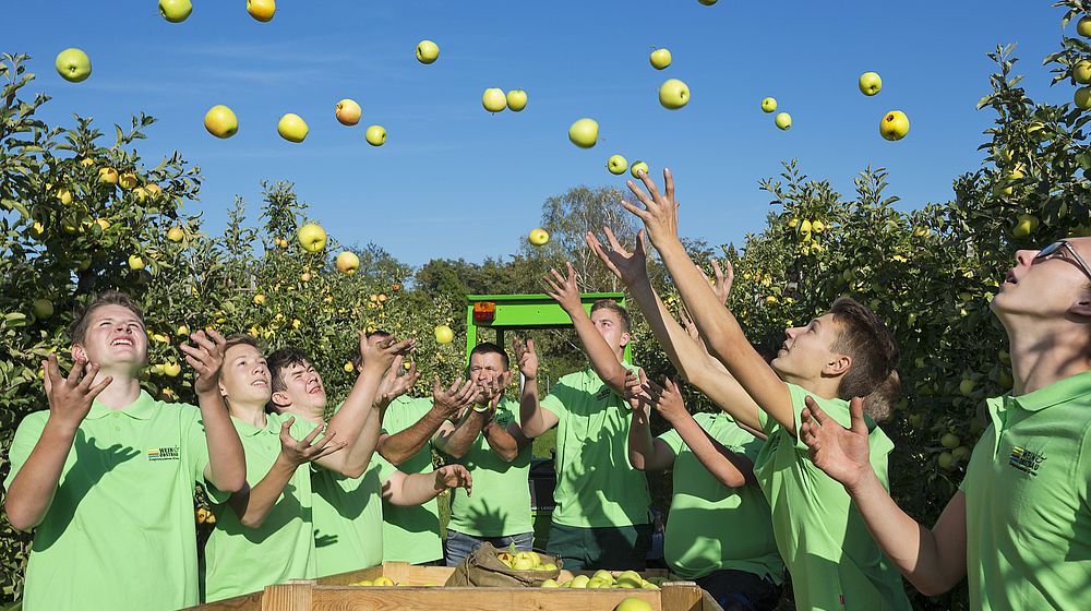 Schüler stehen um Holzkisten mit Äpfel und werfen Äpfel in die Luft