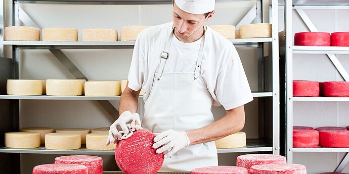 Hartkäse Pflege - © BMNT Martina Siebenhandl Mann sorgt für die richtige Hygiene bei fertigen Hartkäselaibe