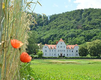 Getreidepflanzen, Wiesen und im Hintergrund das Schulgebäude