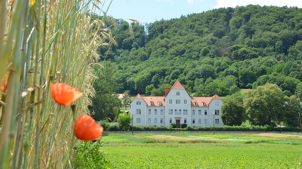 Getreidepflanzen, Wiesen und im Hintergrund das Schulgebäude